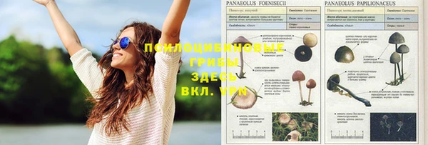 марки nbome Ладушкин