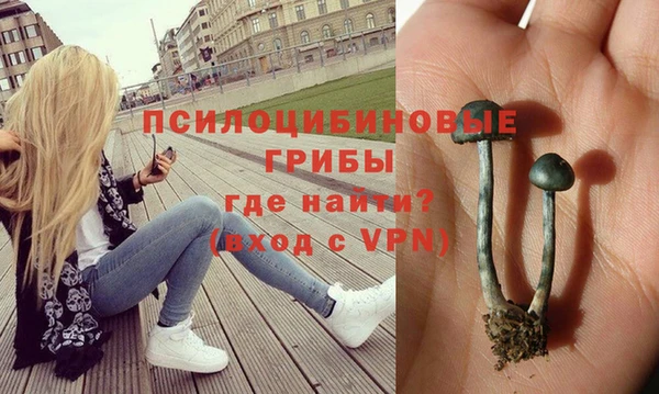 марки lsd Лабытнанги